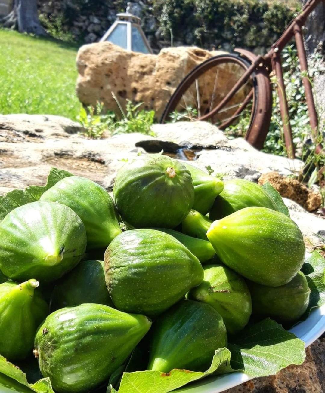 Giardini Di Marzo * Felline
